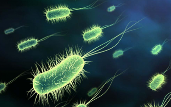 disinfezione-virus disinfezione-virus